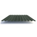 Профлист С21 с покрытием GreenCoat® Pural Matt® 0,5 мм, RR 11 Профлист С21 с покрытием GreenCoat® Pural Matt® 0,5 мм, RR 11